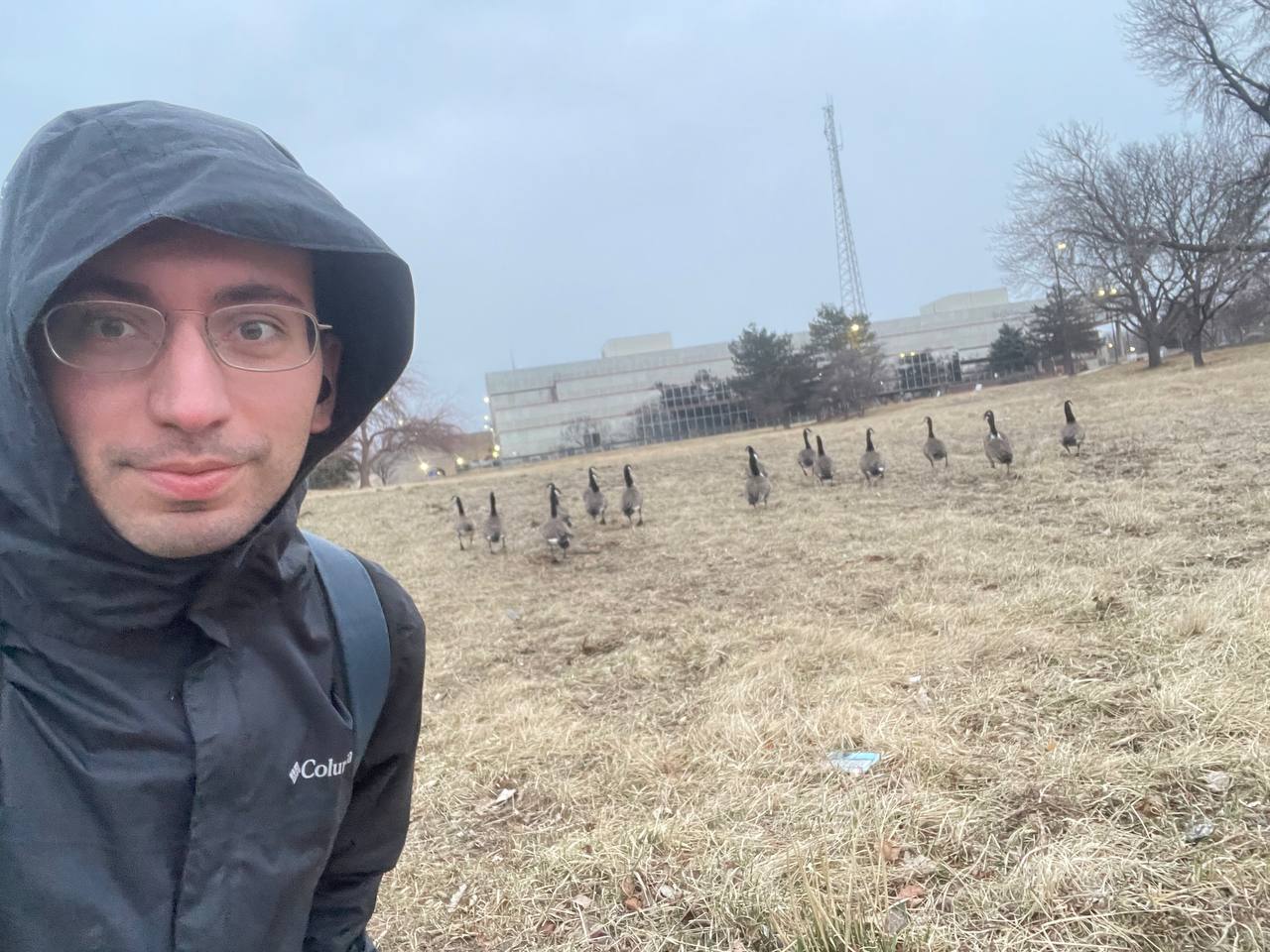 Winter walk
